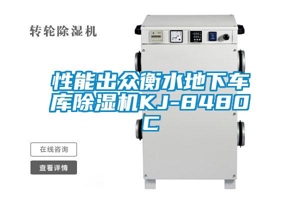 性能出眾衡水地下車庫91看片在线下载機KJ-8480C