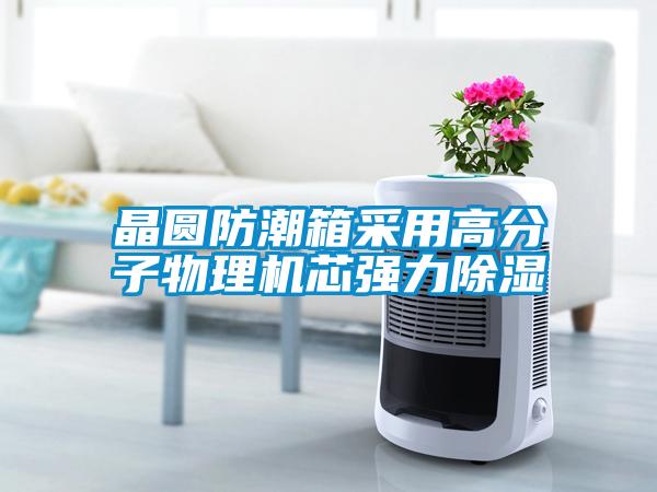 晶圓防潮箱采用高分子物理機芯強力91看片在线下载