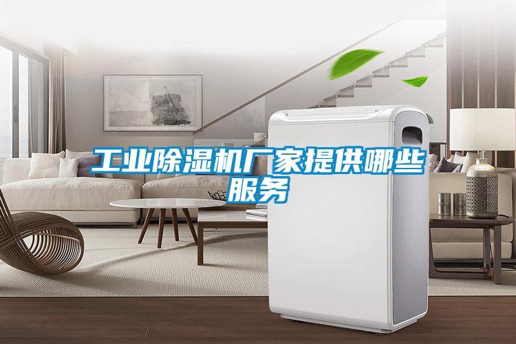 工業91看片在线下载機廠家提供哪些服務