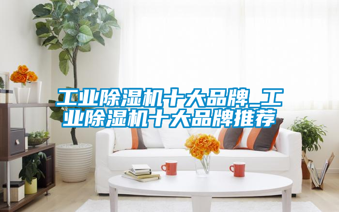 工業91看片在线下载機十大品牌_工業91看片在线下载機十大品牌推薦