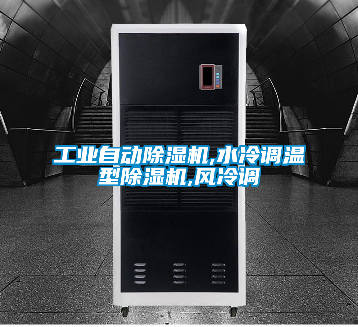 工業自動91看片在线下载機,水冷調溫型91看片在线下载機,風冷調