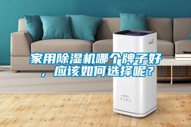 家用91看片在线下载機哪個牌子好，應該如何選擇呢？
