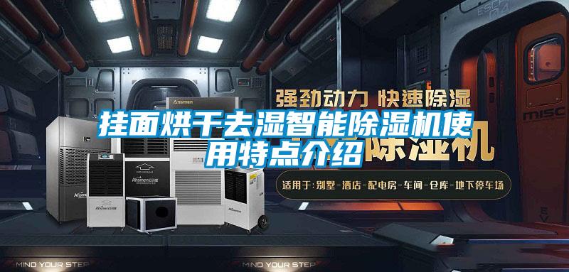 掛麵烘幹去濕智能91看片在线下载機使用特點介紹