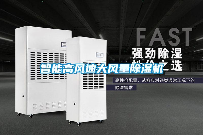 智能高風速大風量91看片在线下载機