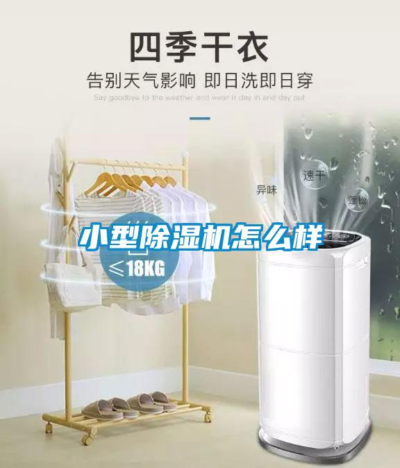 小型91看片在线下载機怎麽樣