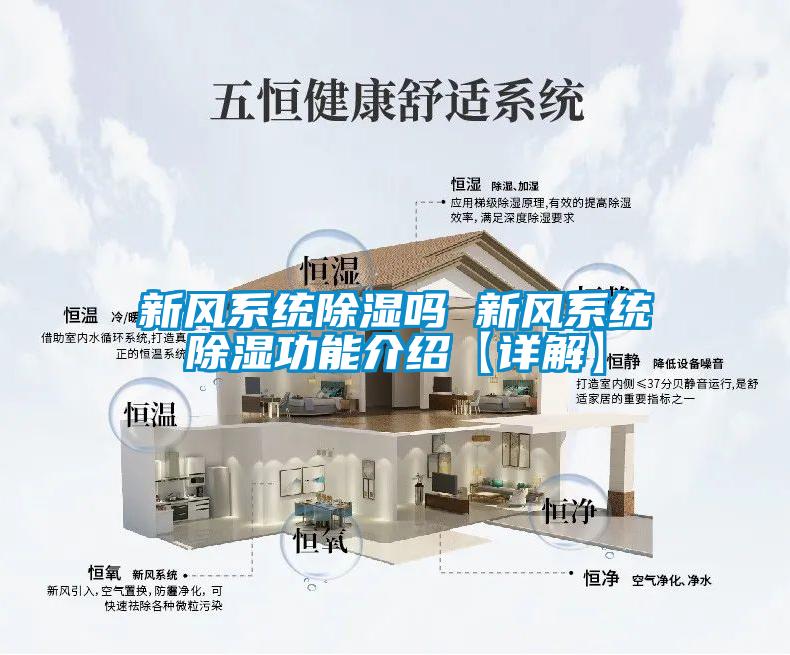 新風係統91看片在线下载嗎 新風係統91看片在线下载功能介紹【詳解】