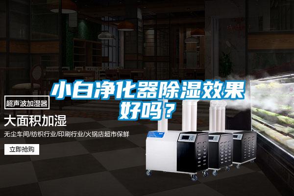 小白淨化器91看片在线下载效果好嗎？