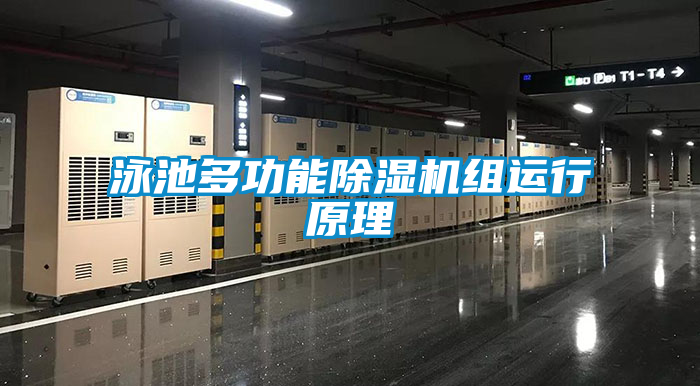 泳池多功能91看片在线下载機組運行原理