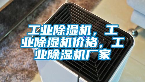 工業91看片在线下载機，工業91看片在线下载機價格，工業91看片在线下载機廠家