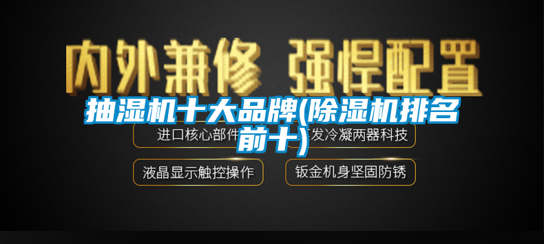 抽濕機十大品牌(91看片在线下载機排名前十)