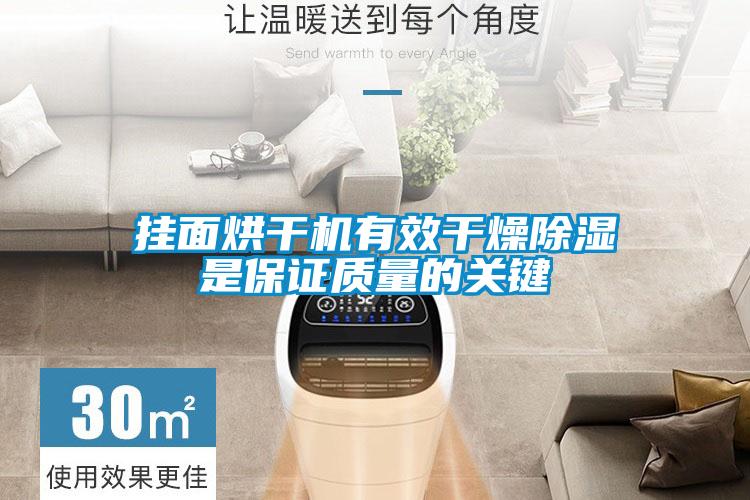掛麵烘幹機有效幹燥91看片在线下载是保證質量的關鍵