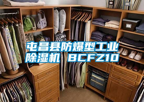 屯昌縣防爆型工業91看片在线下载機 BCFZ10