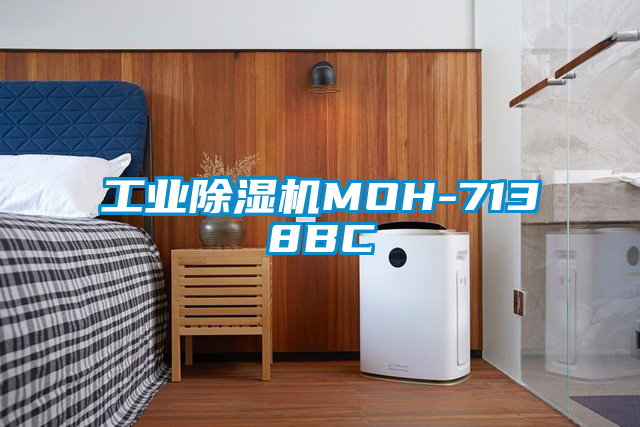 工業91看片在线下载機MOH-7138BC