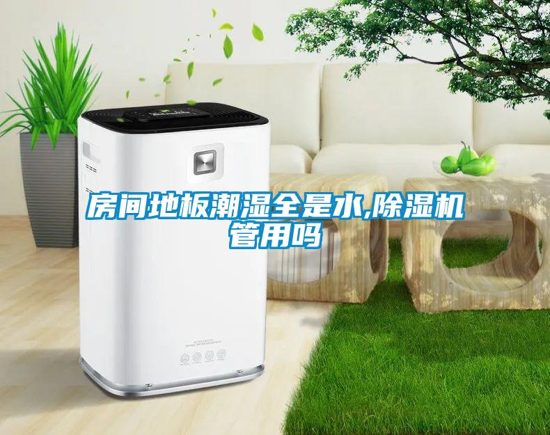 房間地板潮濕全是水,91看片在线下载機管用嗎