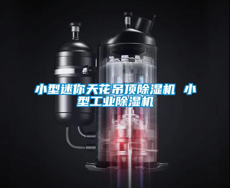 小型迷你天花吊頂91看片在线下载機 小型工業91看片在线下载機