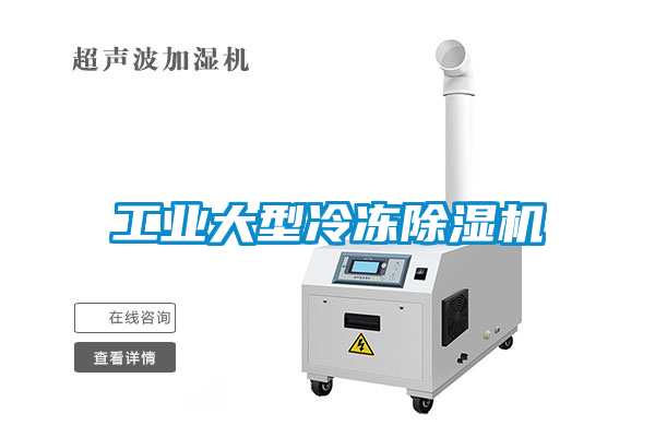 工業大型冷凍91看片在线下载機