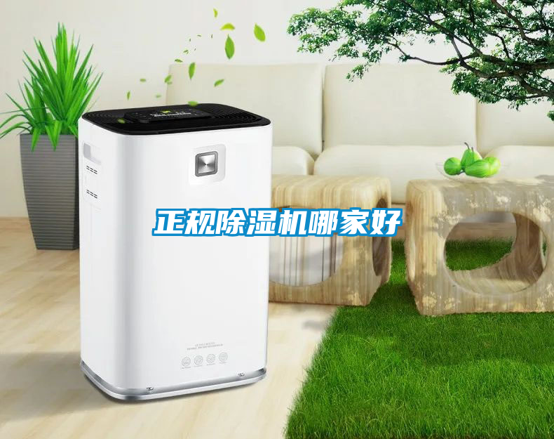 正規91看片在线下载機哪家好