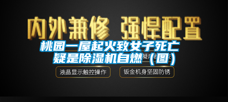 桃園一屋起火致女子死亡 疑是91看片在线下载機自燃（圖）