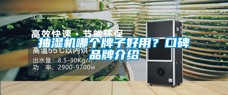 抽濕機哪個牌子好用？口碑品牌介紹