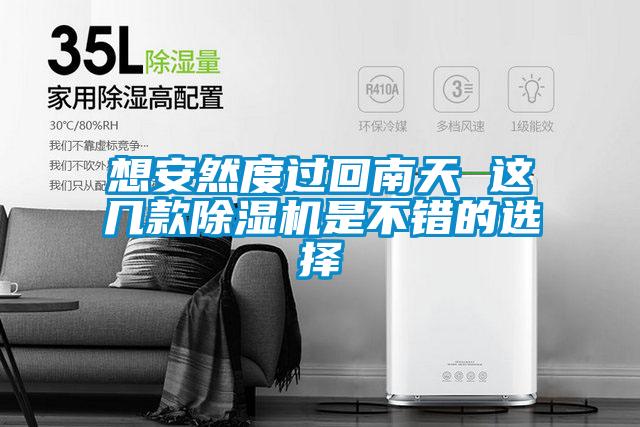 想安然度過回南天 這幾款91看片在线下载機是不錯的選擇