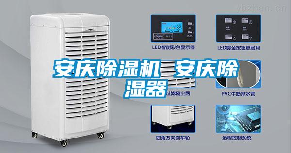 安慶91看片在线下载機 安慶91看片在线下载器