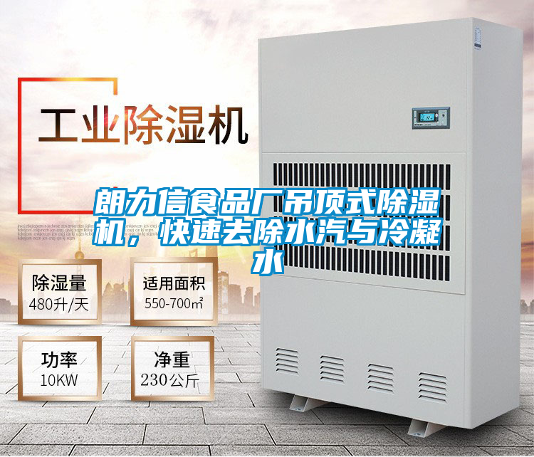 朗力信食品廠吊頂式91看片在线下载機，快速去除水汽與冷凝水