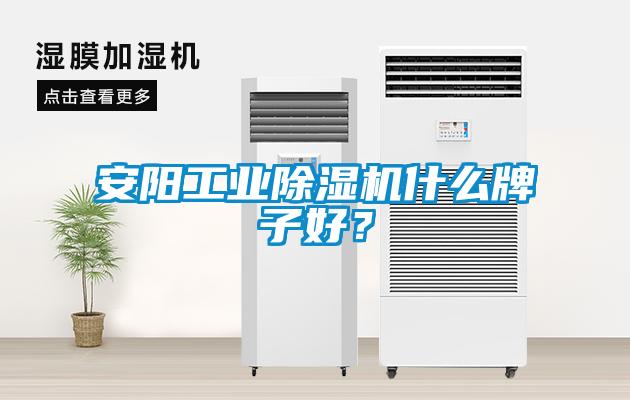 安陽工業91看片在线下载機什麽牌子好？