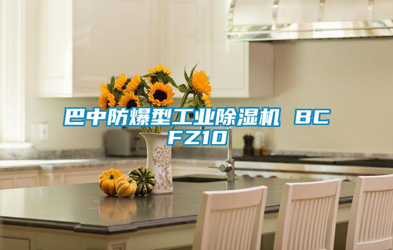 巴中防爆型工業91看片在线下载機 BCFZ10