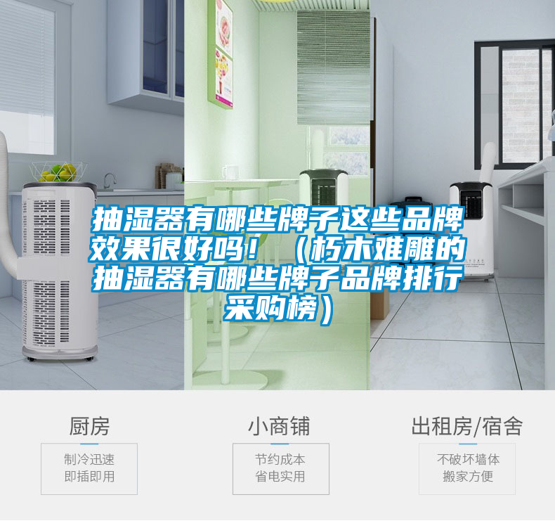 抽濕器有哪些牌子這些品牌效果很好嗎！（朽木難雕的抽濕器有哪些牌子品牌排行采購榜）