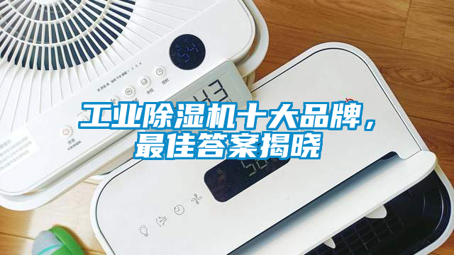工業91看片在线下载機十大品牌，最佳答案揭曉