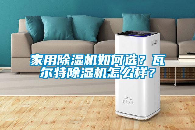 家用91看片在线下载機如何選？瓦爾特91看片在线下载機怎麽樣？