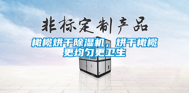 橄欖烘幹91看片在线下载機，烘幹橄欖更均勻更衛生