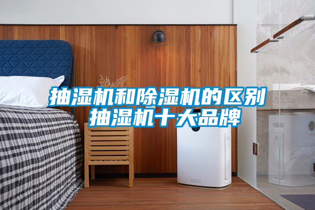 抽濕機和91看片在线下载機的區別 抽濕機十大品牌