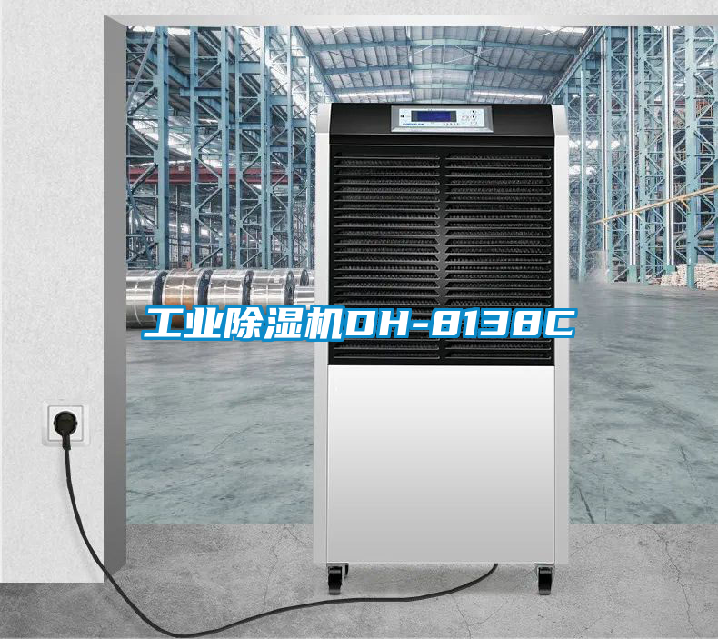 工業91看片在线下载機DH-8138C