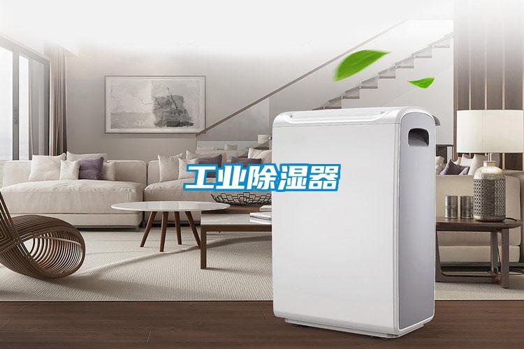 工業91看片在线下载器