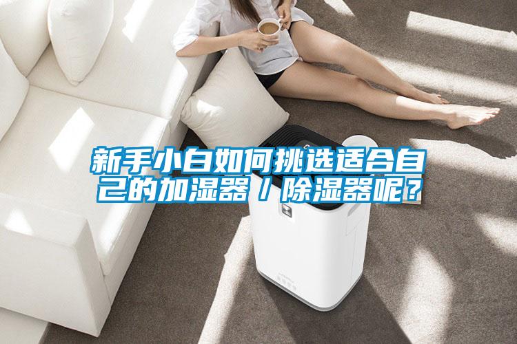 新手小白如何挑選適合自己的加濕器／91看片在线下载器呢？