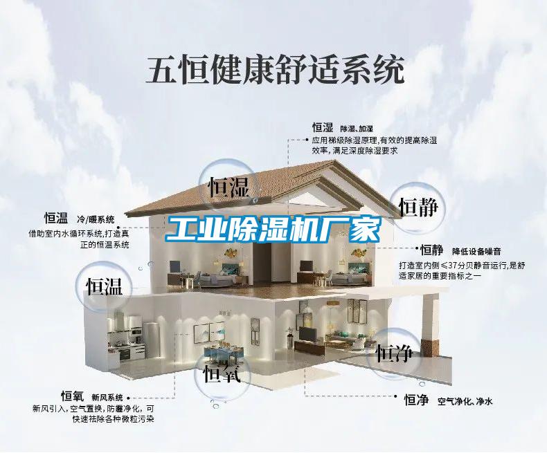 工業91看片在线下载機廠家