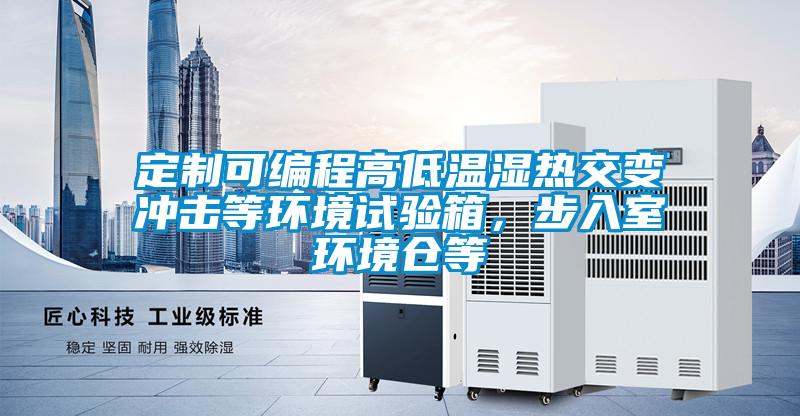 定製可編程高低溫濕熱交變衝擊等環境試驗箱，步入室環境倉等