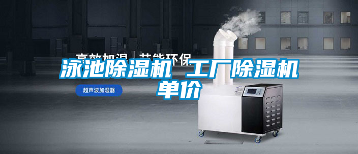 泳池91看片在线下载機 工廠91看片在线下载機單價