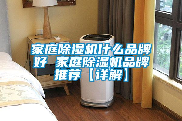 家庭91看片在线下载機什麽品牌好 家庭91看片在线下载機品牌推薦【詳解】