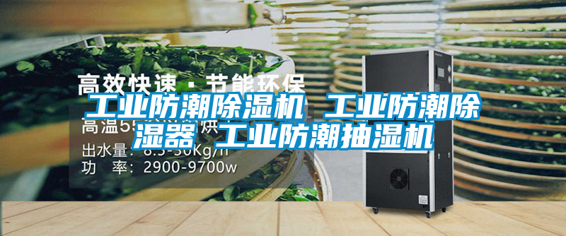 工業防潮91看片在线下载機 工業防潮91看片在线下载器 工業防潮抽濕機