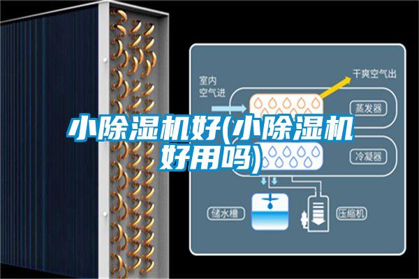 小91看片在线下载機好(小91看片在线下载機好用嗎)