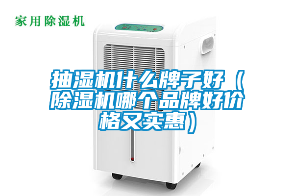 抽濕機什麽牌子好（91看片在线下载機哪個品牌好價格又實惠）