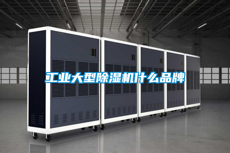 工業大型91看片在线下载機什麽品牌