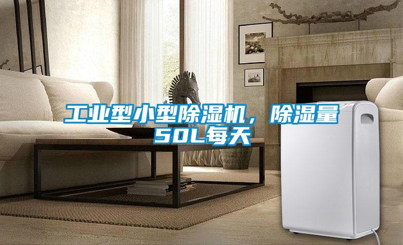 工業型小型91看片在线下载機，91看片在线下载量50L每天