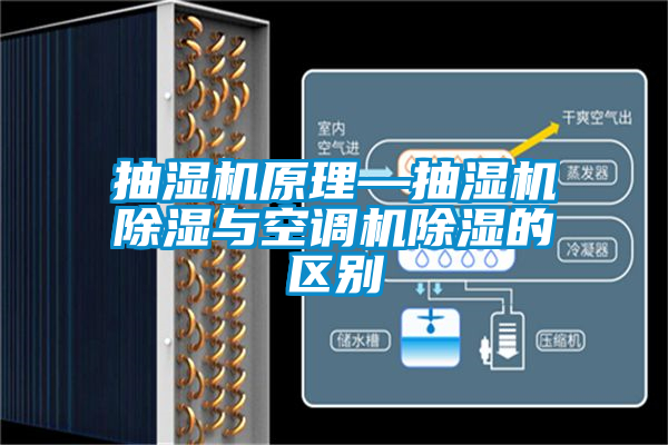 抽濕機原理—抽濕機91看片在线下载與空調機91看片在线下载的區別