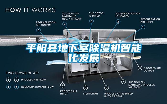 平陽縣地下室91看片在线下载機智能化發展