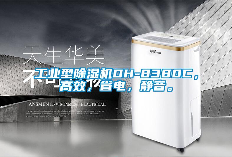 工業型91看片在线下载機DH-8380C，高效，省電，靜音。