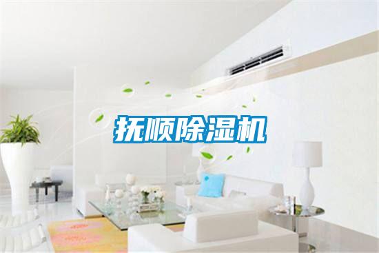 撫順91看片在线下载機