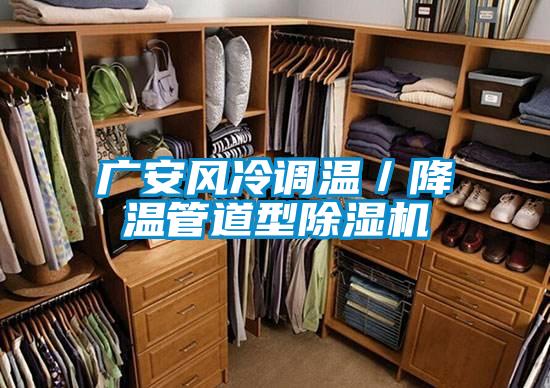 廣安風冷調溫／降溫管道型91看片在线下载機